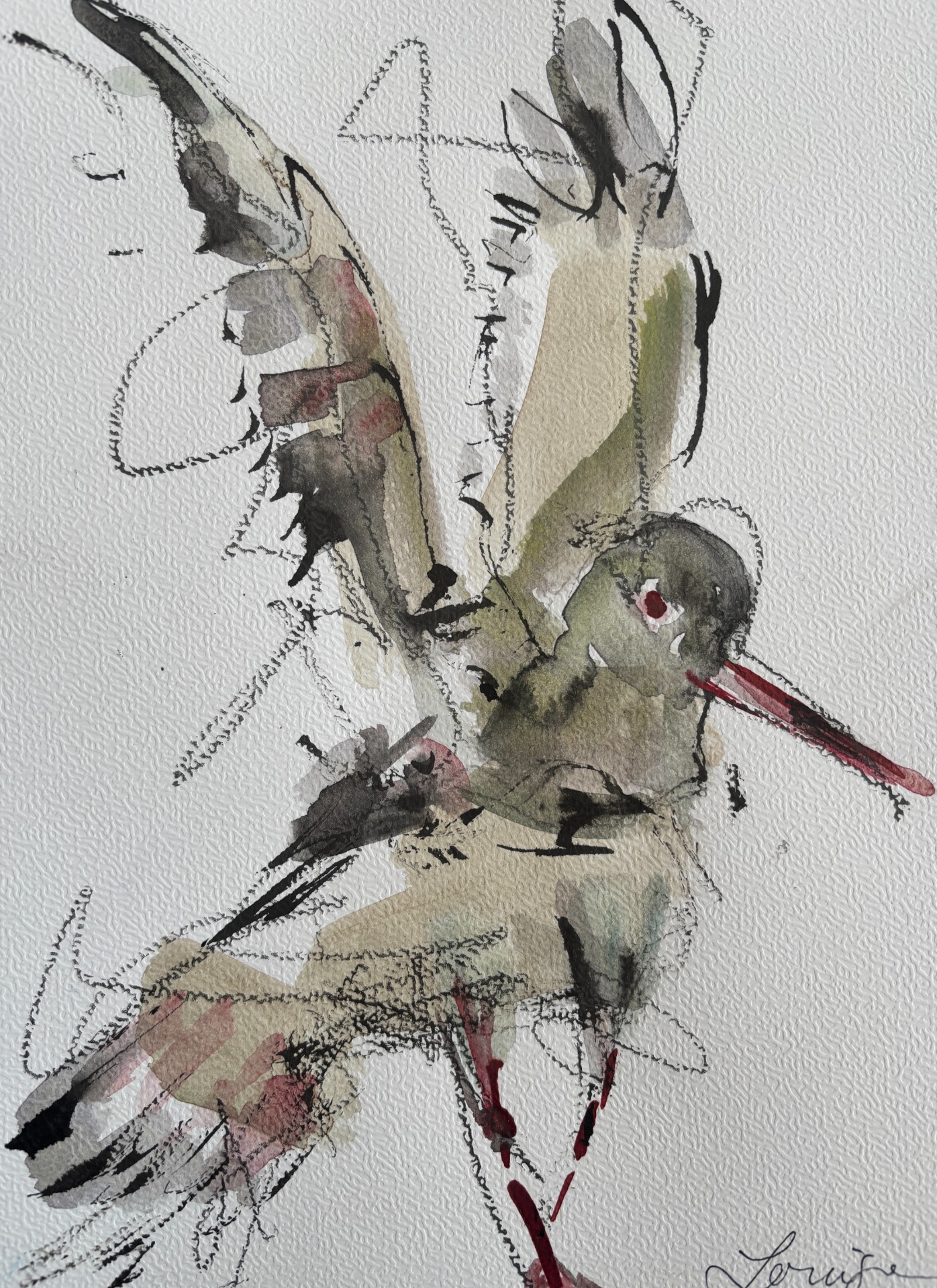 Silent Watcher - Watercolor and pencil